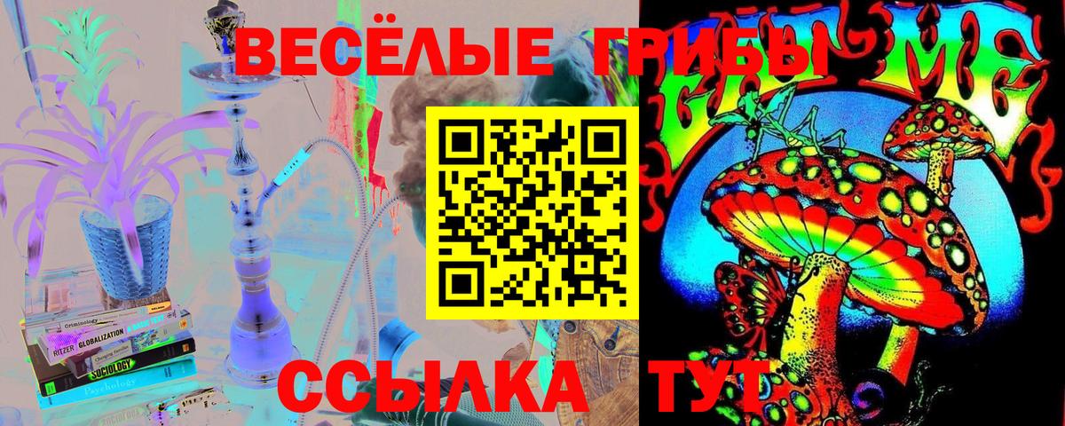 Псилоцибиновые грибы Psilocybe Клинцы